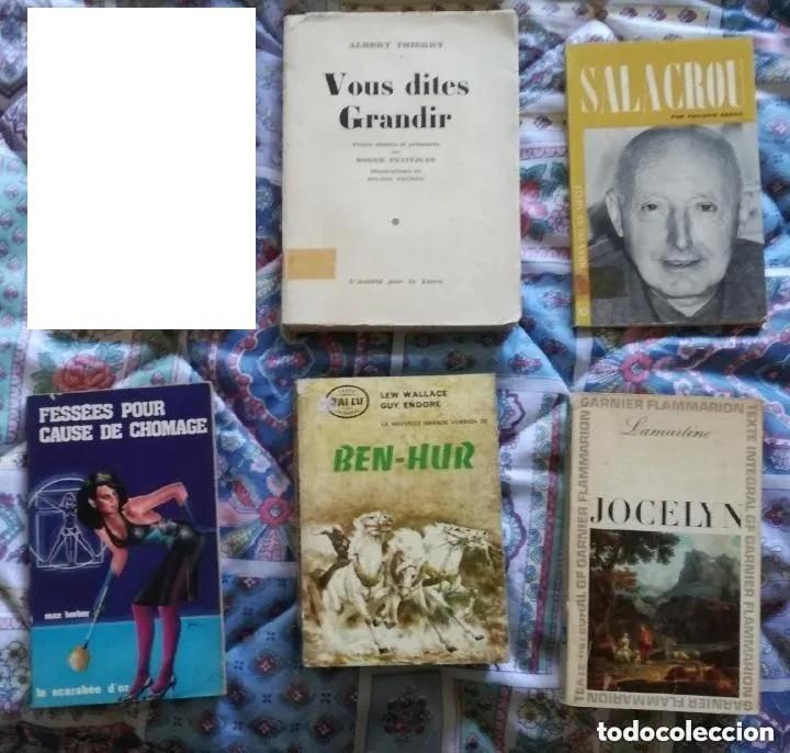 Libros de segunda mano: Lote de 23 libros en frances - Foto 4