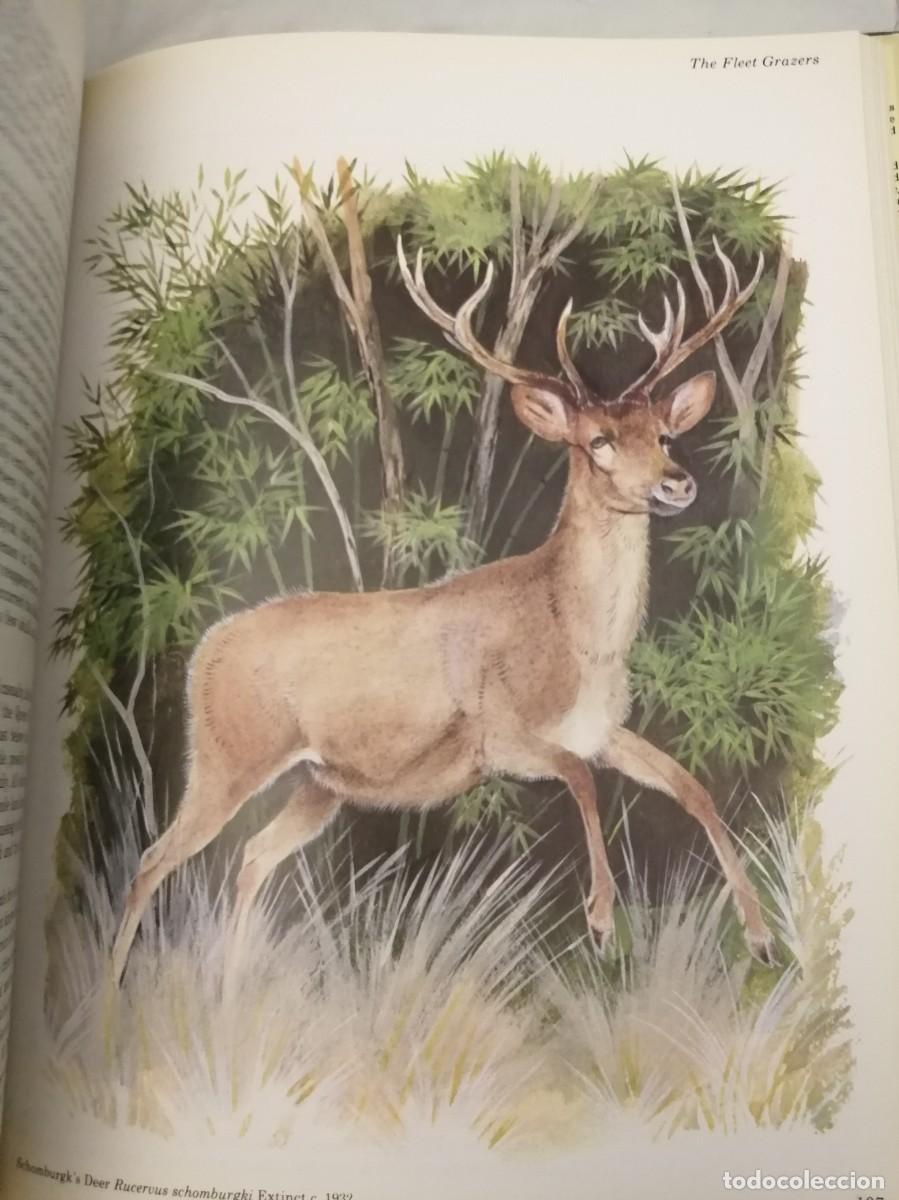 Libros de segunda mano: Vanished Species (Hardcover) - Foto 3