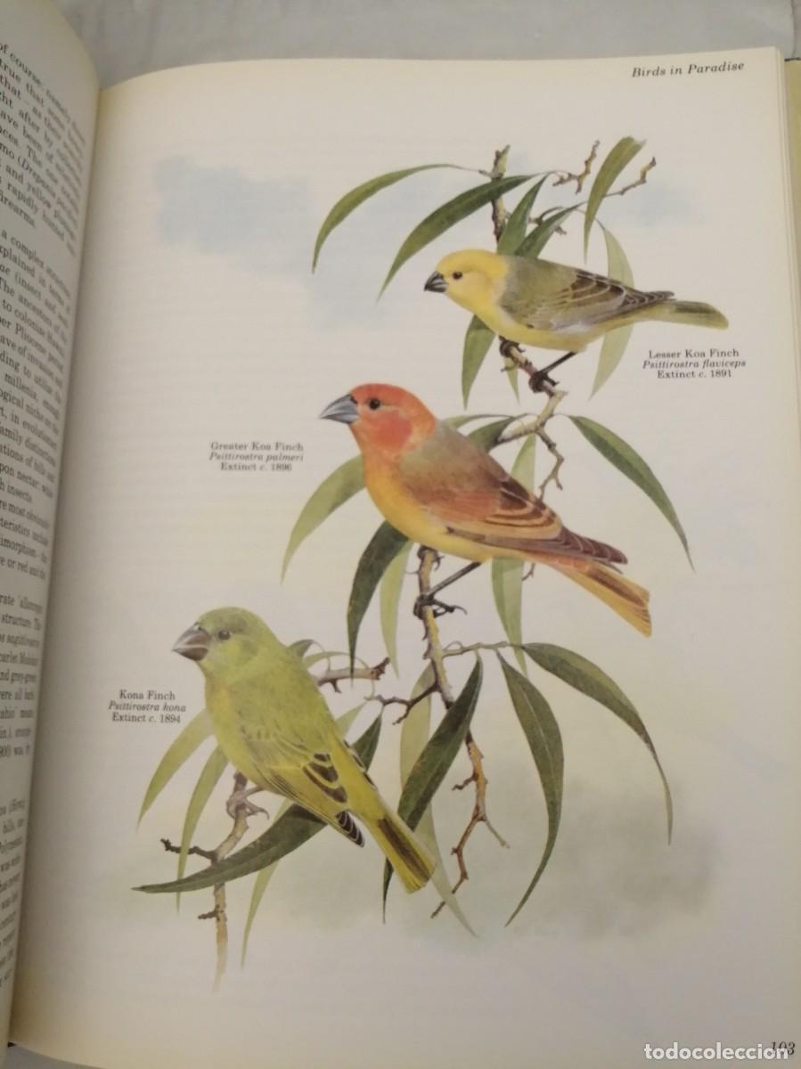 Libros de segunda mano: Vanished Species (Hardcover) - Foto 6