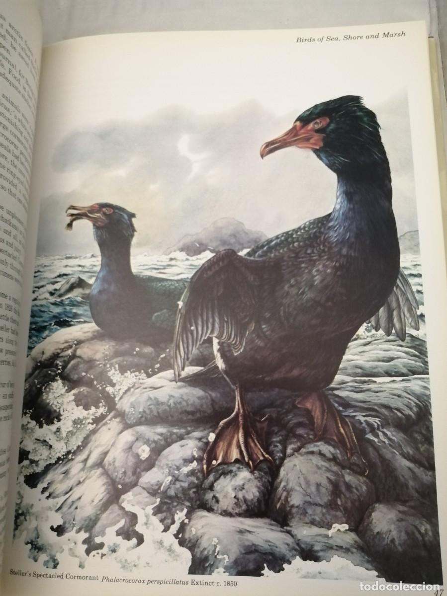 Libros de segunda mano: Vanished Species (Hardcover) - Foto 7