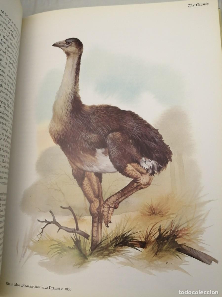 Libros de segunda mano: Vanished Species (Hardcover) - Foto 8