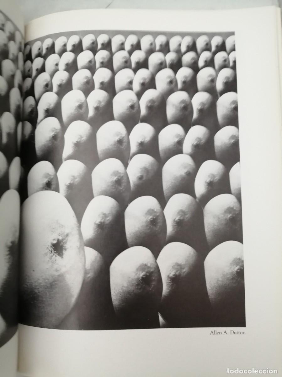 Libros de segunda mano: Fantastic Photographs - Foto 3