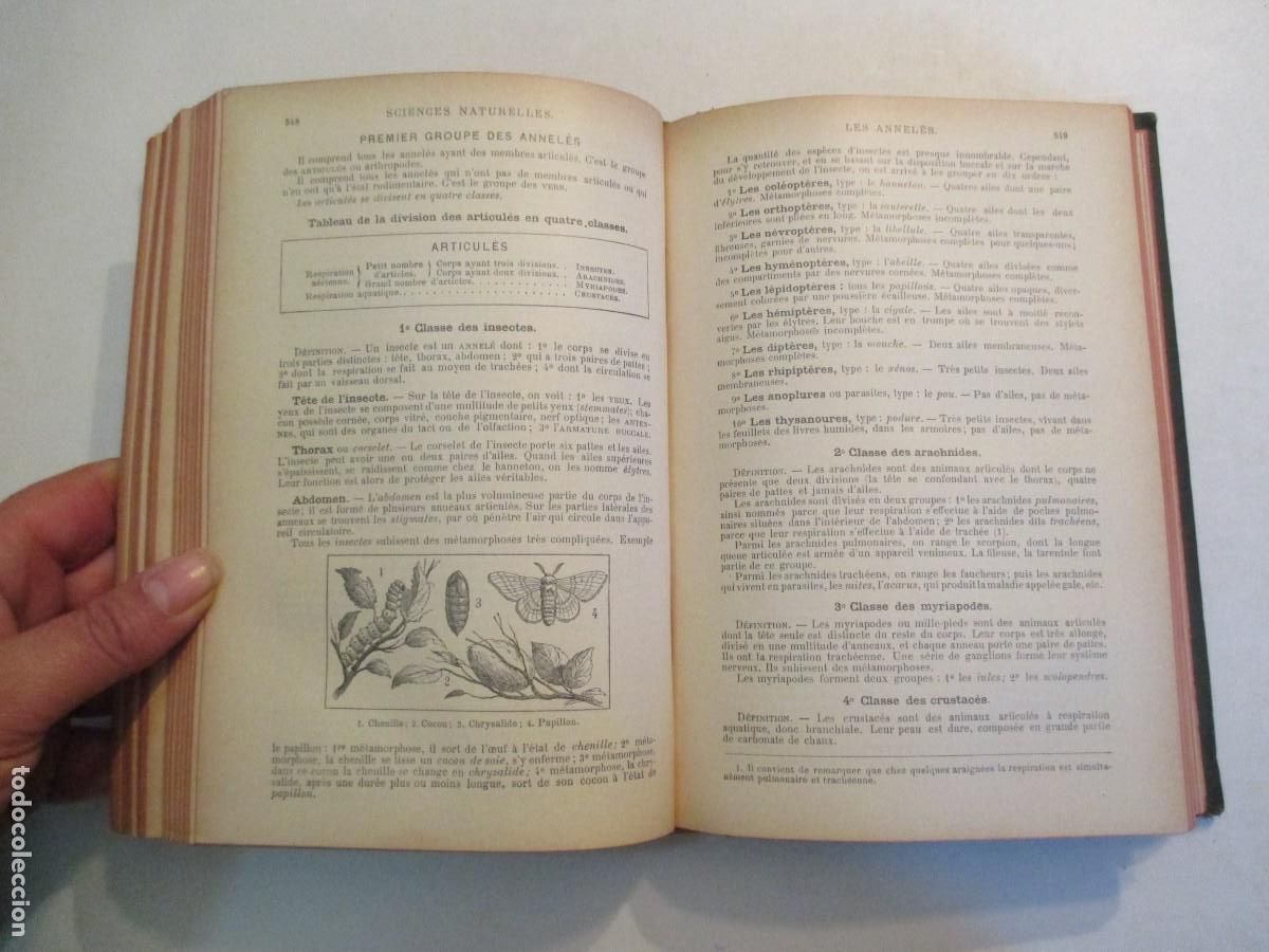 Libros de segunda mano: Memento Larousse ( en franc&eacute;s) W33774 - Foto 5