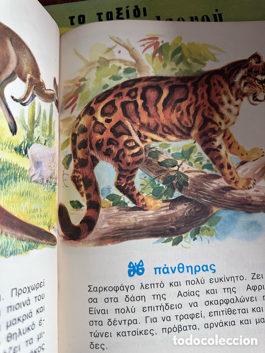 Libros de segunda mano: Libros infantiles griegos - Foto 6