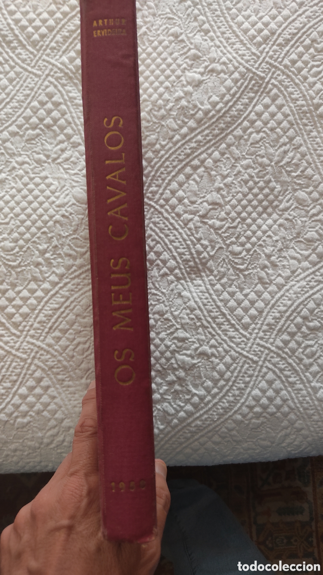 Libros de segunda mano: Os meus cavalos. Dr. Arthur Ervideira - Foto 7