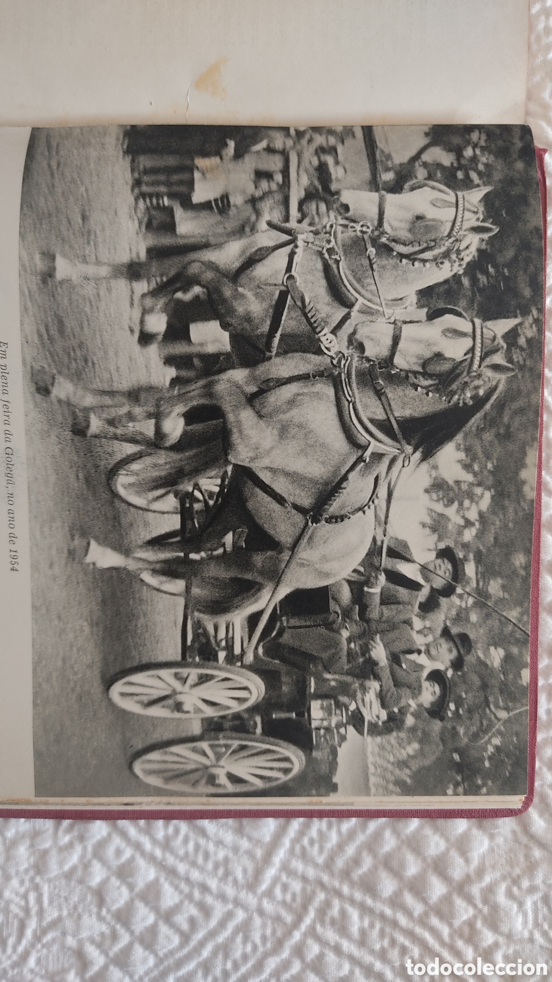 Libros de segunda mano: Os meus cavalos. Dr. Arthur Ervideira - Foto 8