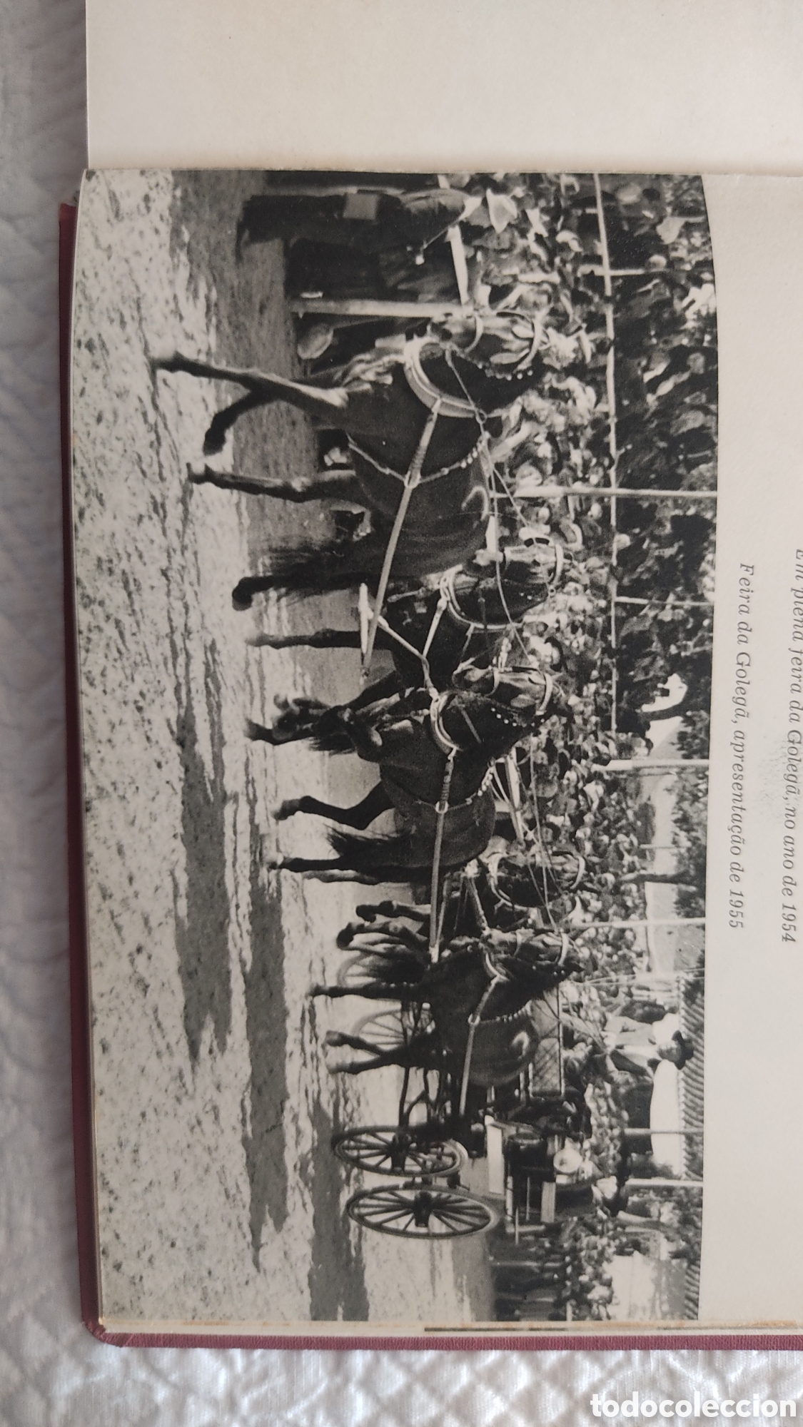 Libros de segunda mano: Os meus cavalos. Dr. Arthur Ervideira - Foto 9