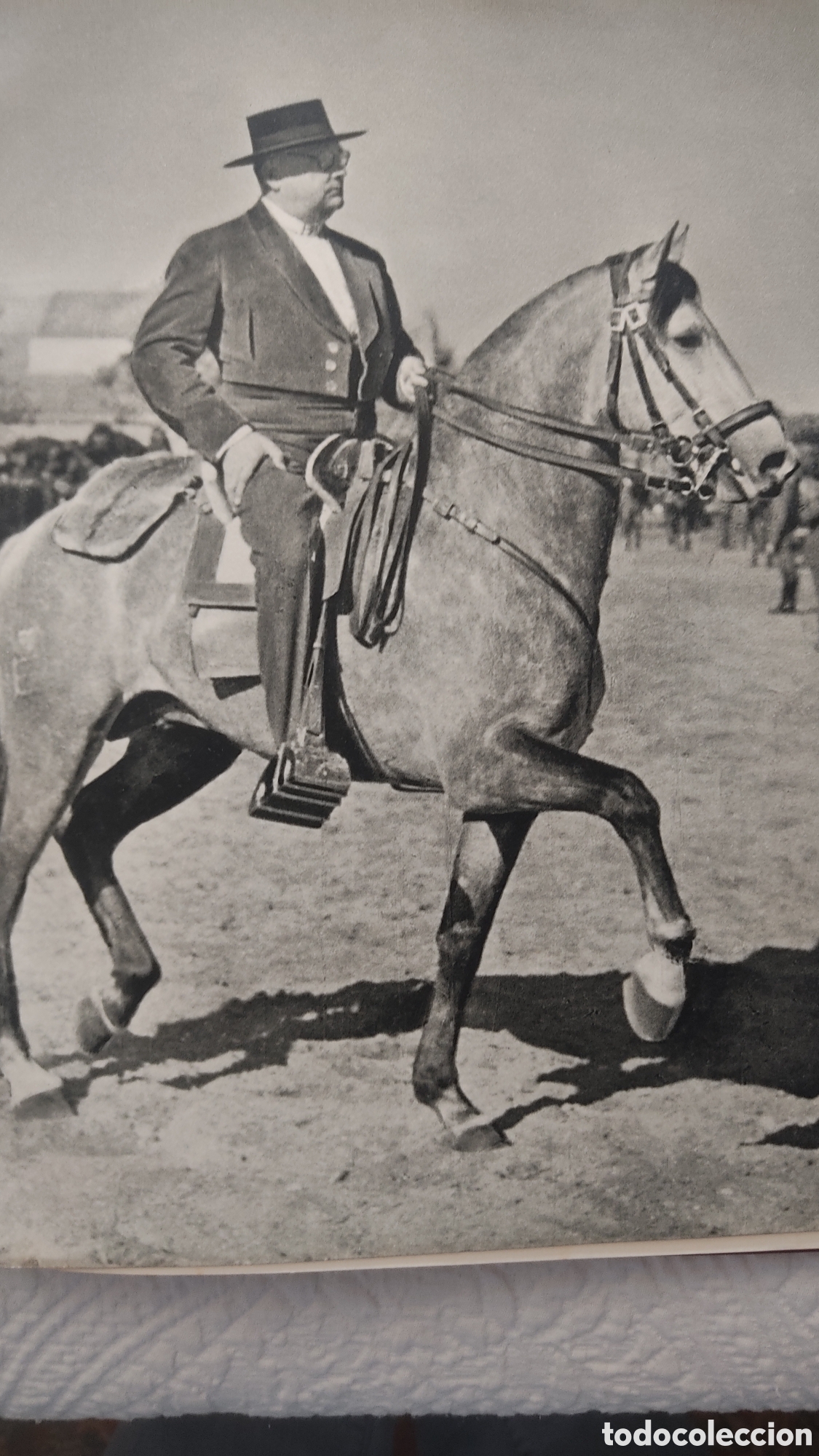 Libros de segunda mano: Os meus cavalos. Dr. Arthur Ervideira - Foto 10