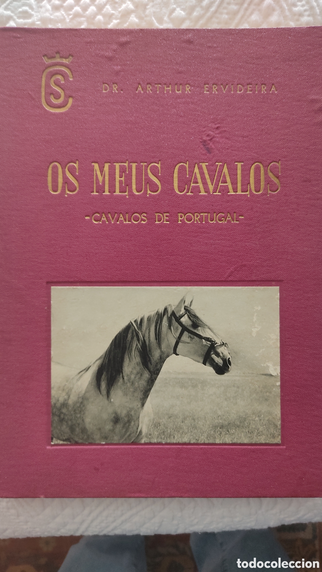 Libros de segunda mano: Os meus cavalos. Dr. Arthur Ervideira - Foto 1