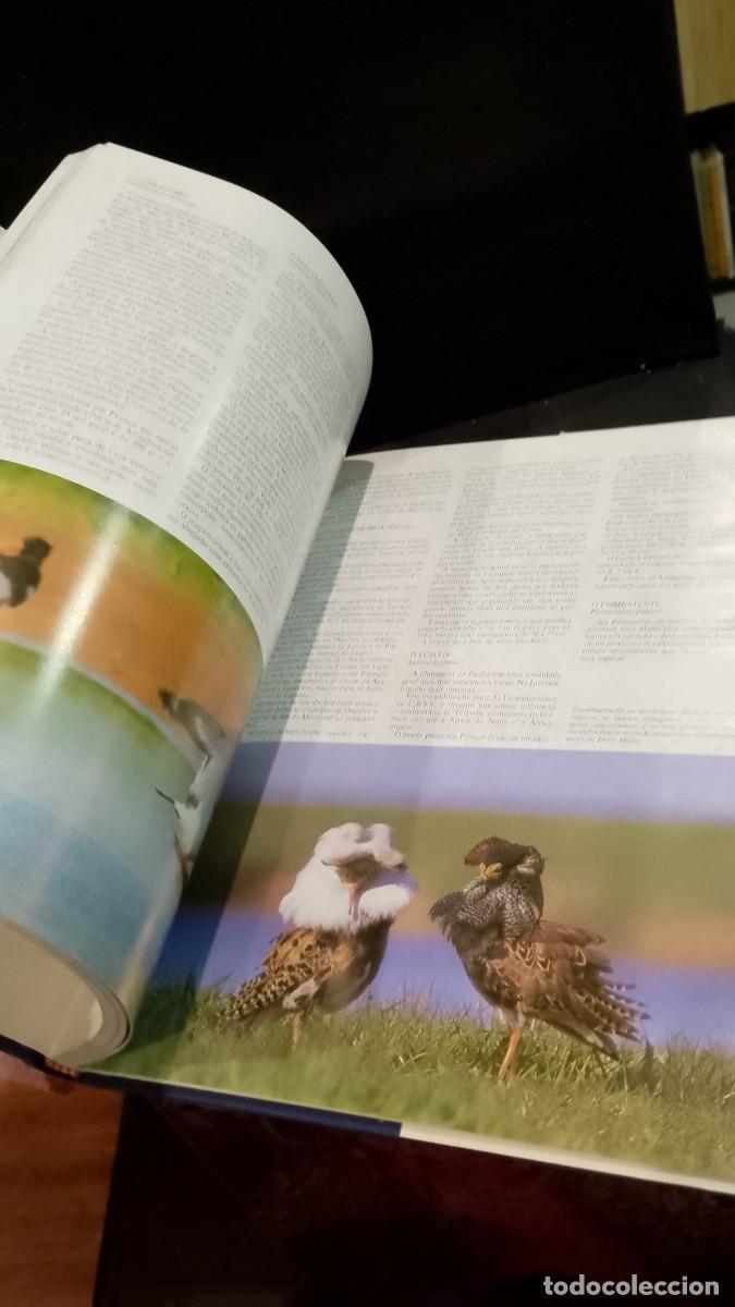Libros de segunda mano: A Ca&ccedil;a - Michel Devort e J&eacute;sus Veiga - Foto 4