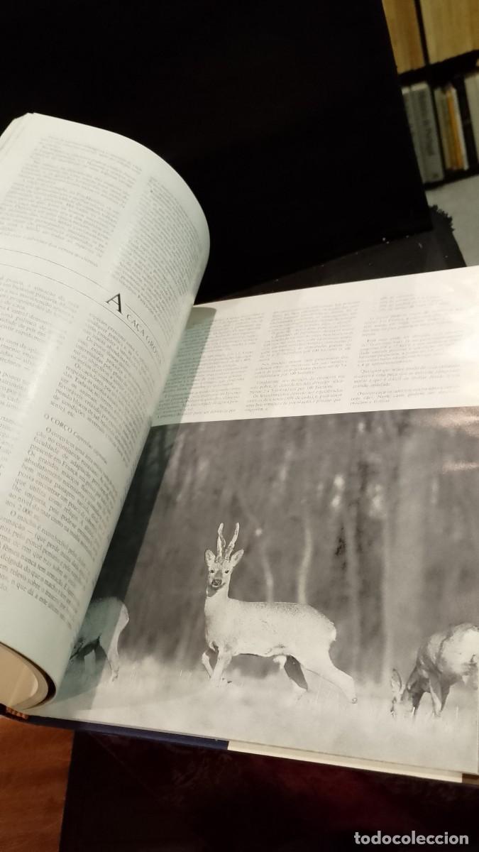 Libros de segunda mano: A Ca&ccedil;a - Michel Devort e J&eacute;sus Veiga - Foto 5