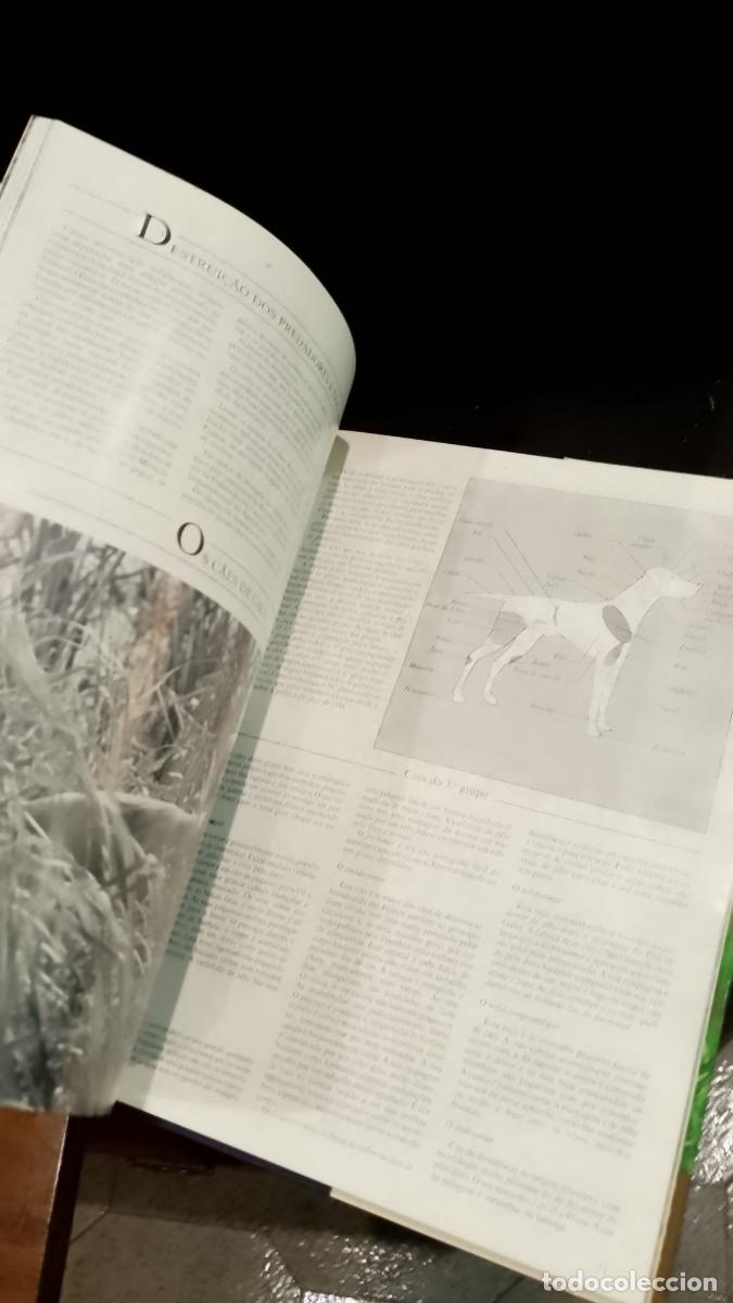 Libros de segunda mano: A Ca&ccedil;a - Michel Devort e J&eacute;sus Veiga - Foto 7