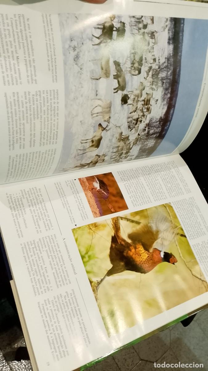 Libros de segunda mano: A Ca&ccedil;a - Michel Devort e J&eacute;sus Veiga - Foto 9