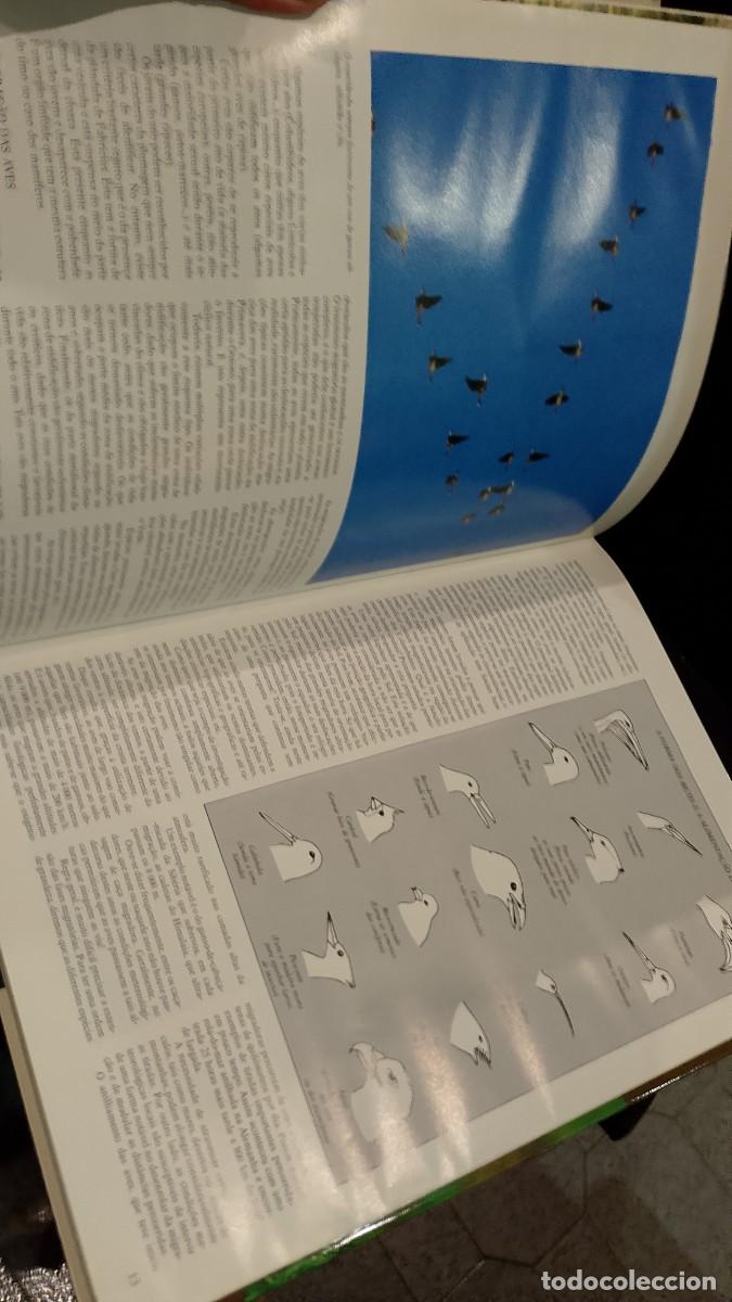 Libros de segunda mano: A Ca&ccedil;a - Michel Devort e J&eacute;sus Veiga - Foto 10