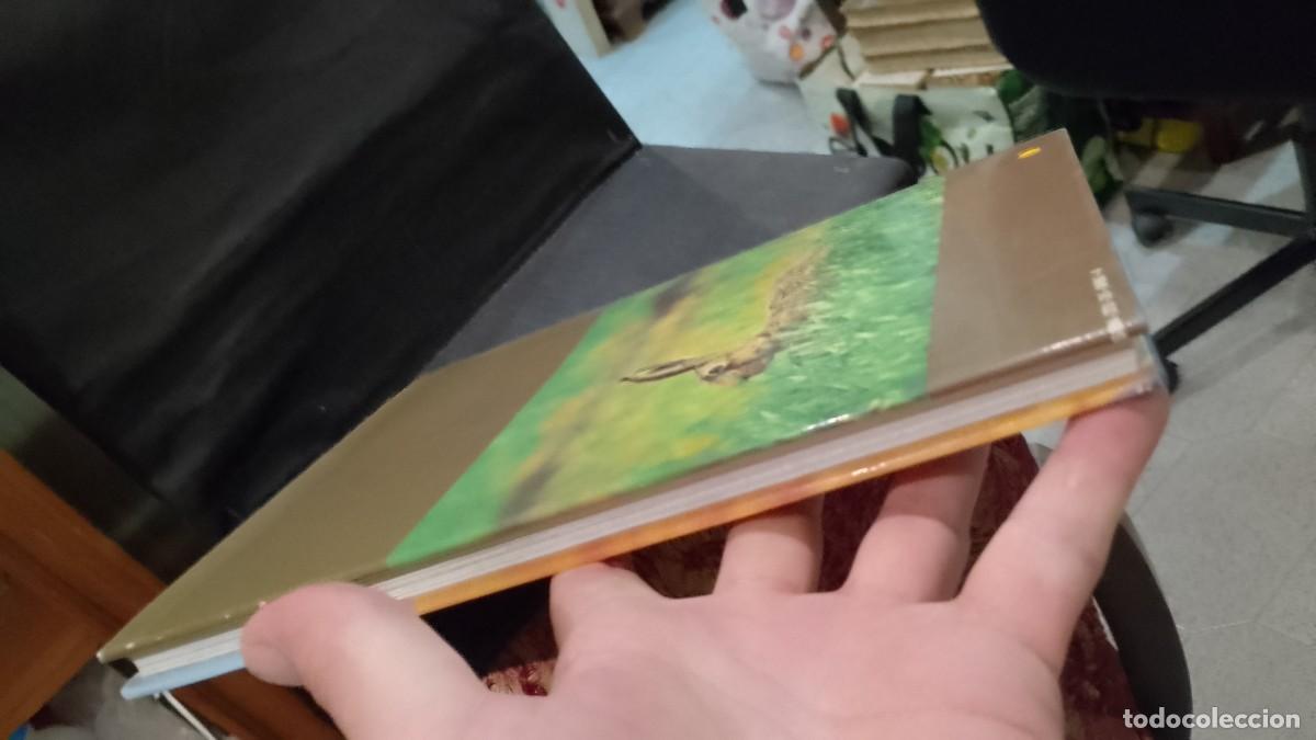 Libros de segunda mano: A Ca&ccedil;a - Michel Devort e J&eacute;sus Veiga - Foto 12