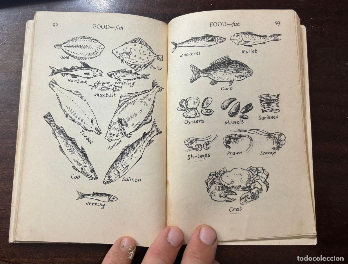 Libros de segunda mano: See What I Mean - libro dibujos en ingl&eacute;s - Foto 6