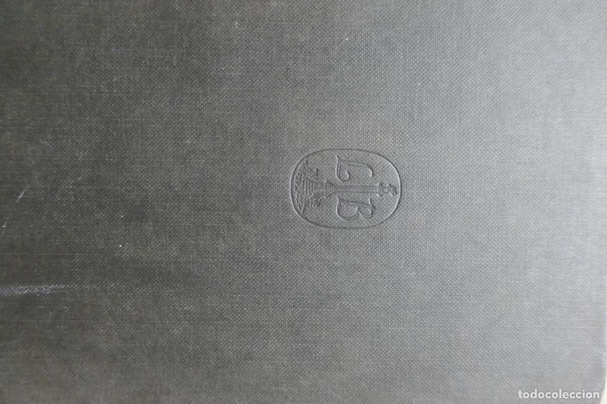 Libros de segunda mano: ALL THE COMFORTS - JOSEPH PAPALEO (EN INGL&Eacute;S) - Foto 4