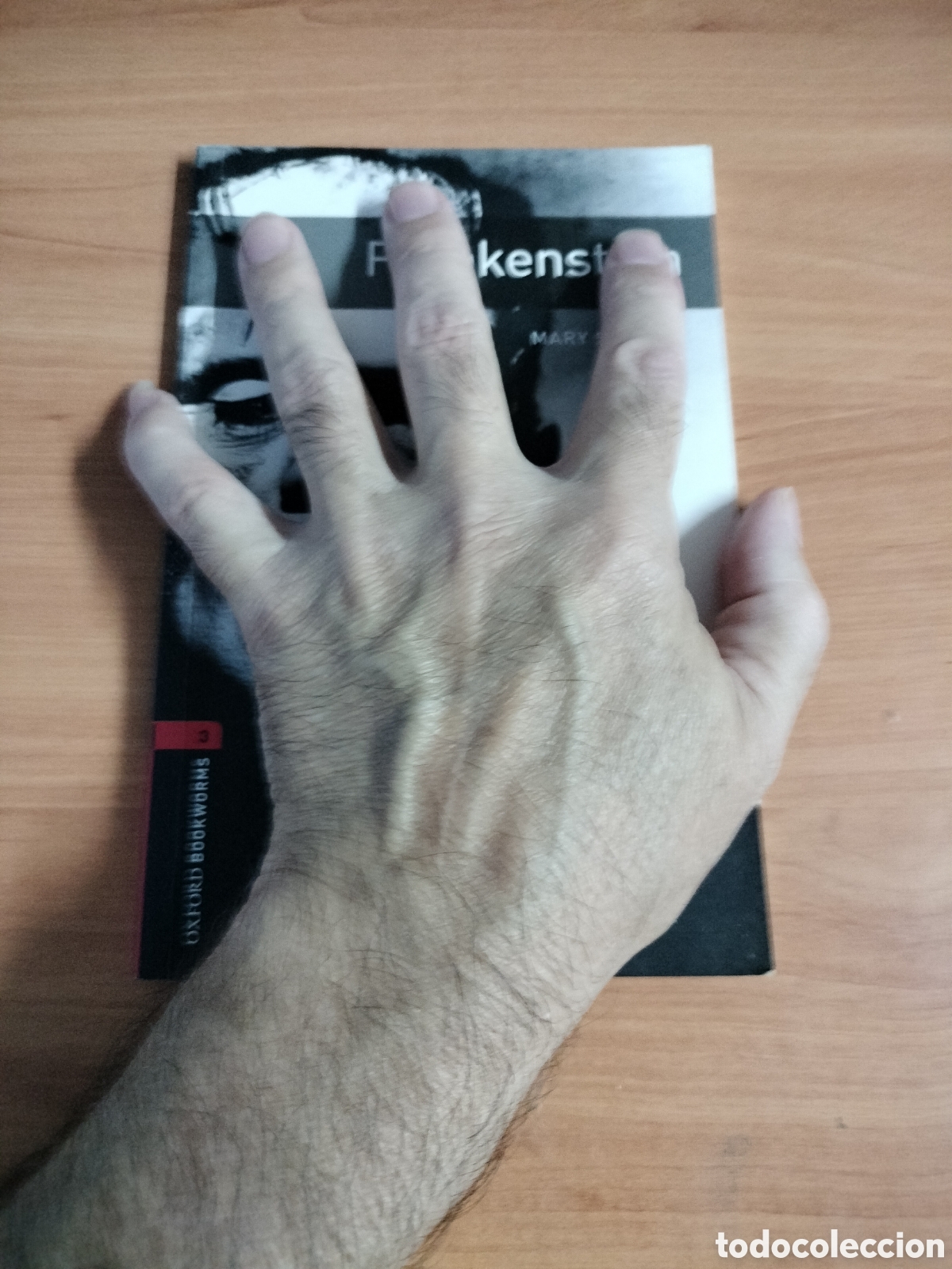 Libros de segunda mano: Frankenstein - Mary Shelley - Foto 2
