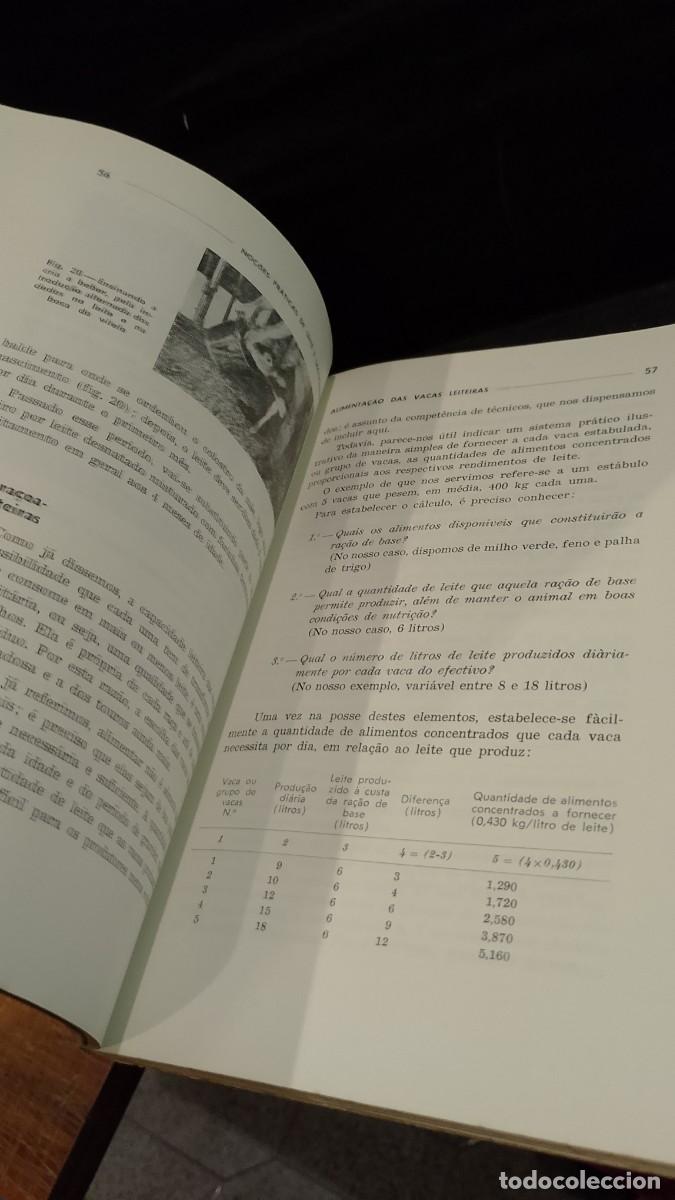 Libros de segunda mano: No&ccedil;&otilde;es Pr&aacute;ticas de Leite e Lactic&iacute;nios 1967 Jos&eacute; E. de Castro e Costa - Foto 5