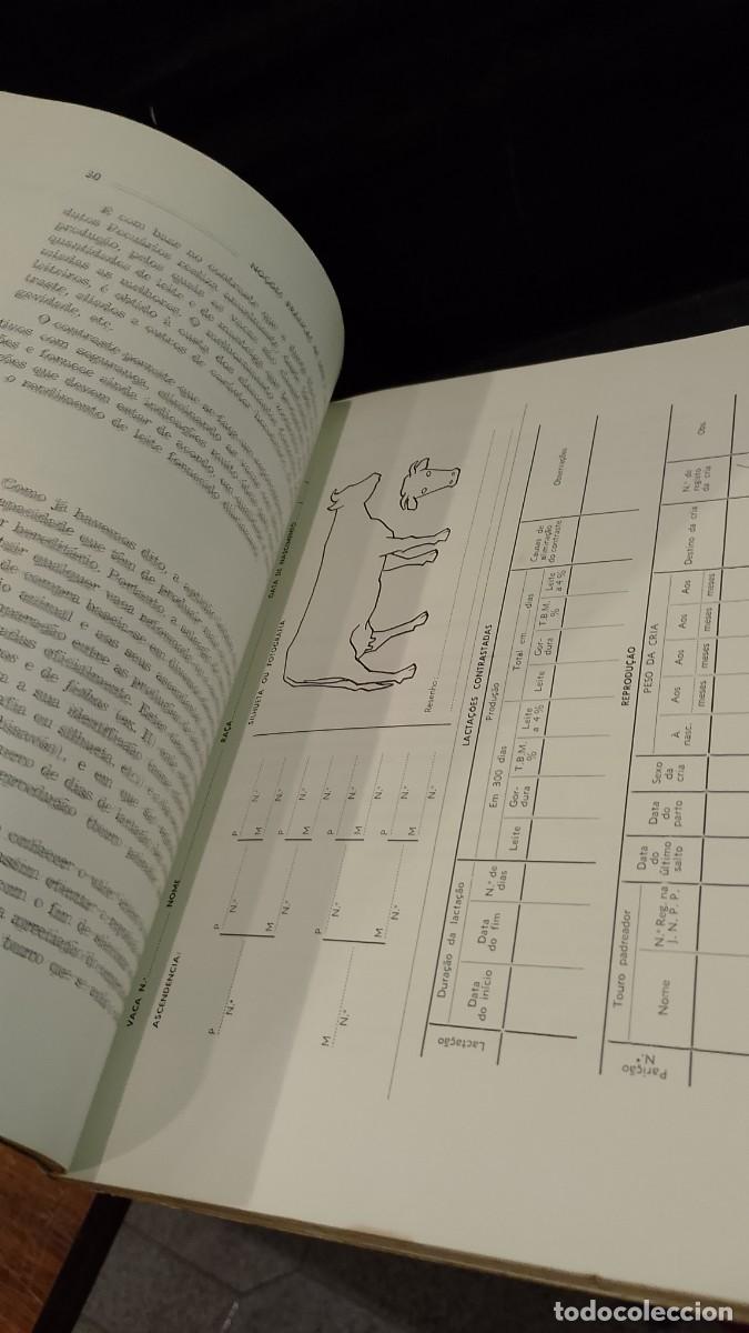 Libros de segunda mano: No&ccedil;&otilde;es Pr&aacute;ticas de Leite e Lactic&iacute;nios 1967 Jos&eacute; E. de Castro e Costa - Foto 6
