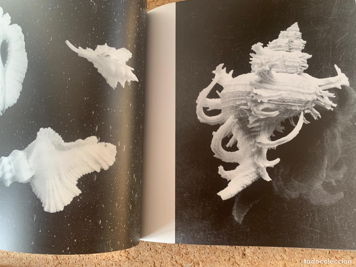 Libros de segunda mano: The Shell (Las conchas) - Foto 3