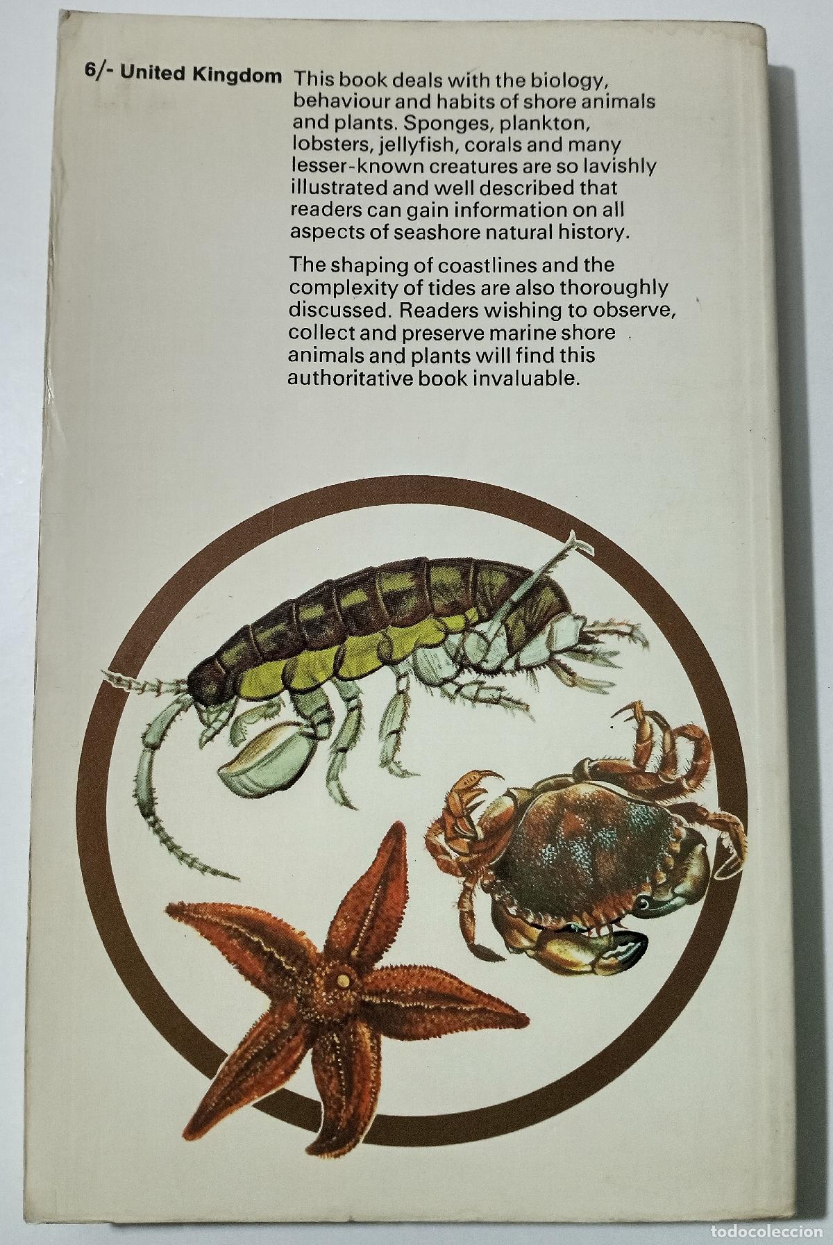 Libros de segunda mano: A guide to The seashore - Ingle, Ray - Foto 2