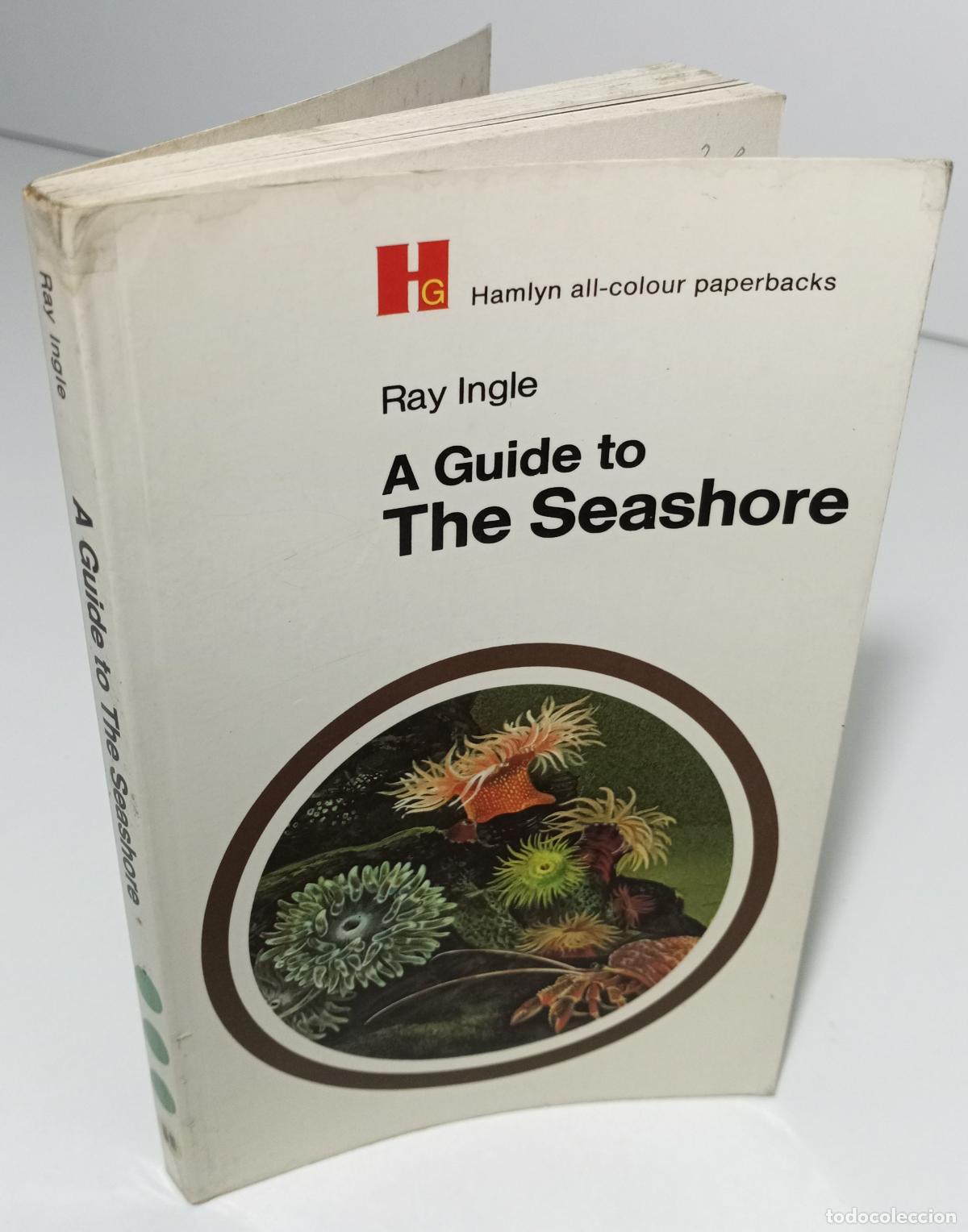 Libros de segunda mano: A guide to The seashore - Ingle, Ray - Foto 3