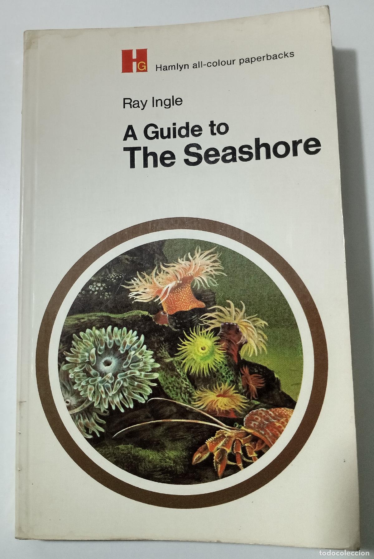 Libros de segunda mano: A guide to The seashore - Ingle, Ray - Foto 1