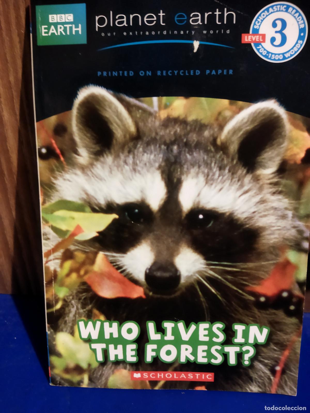 Libros de segunda mano: Who lives in the forest? - Foto 1