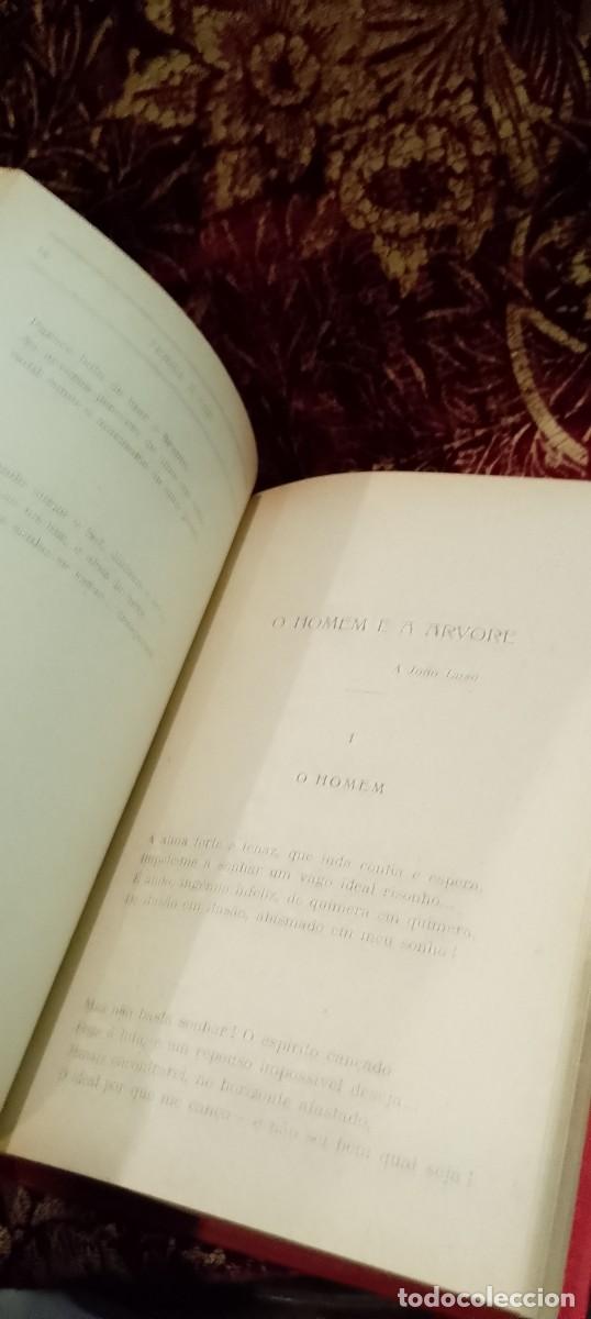 Libros de segunda mano: Terra e C&eacute;u 1932 Afonso Lopes de Almeida - Foto 3