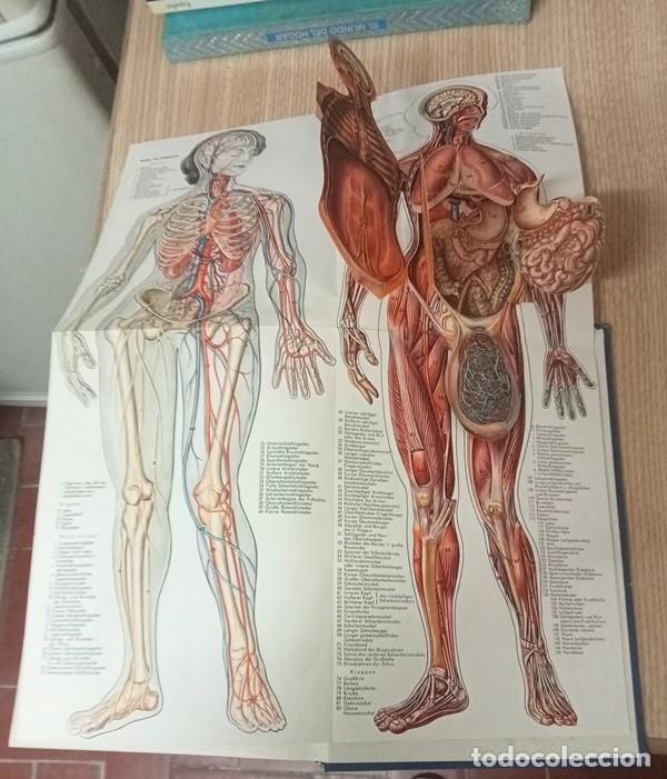 Libros de segunda mano: das grosse readers digest gesundheits-buch - Foto 4