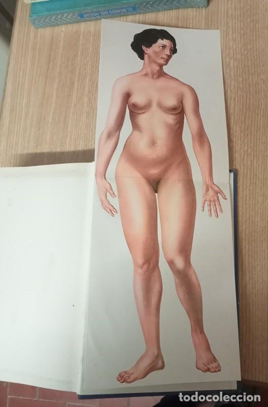 Libros de segunda mano: das grosse readers digest gesundheits-buch - Foto 5