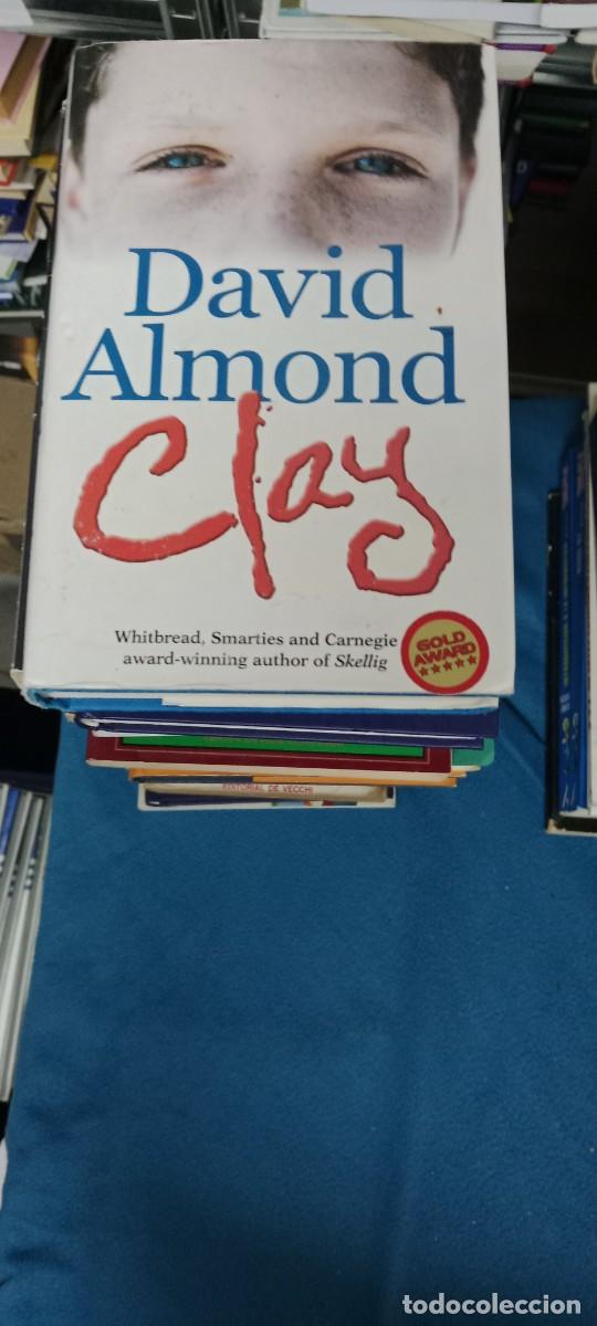 Libros de segunda mano: CLAY DAVID ALMOND LIBRO GG-TS - Foto 1