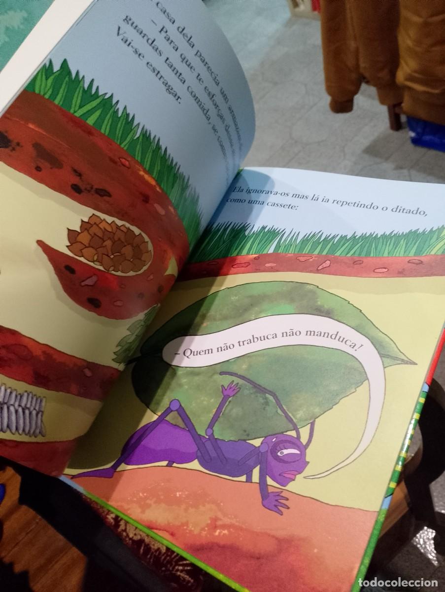 Libros de segunda mano: A Cigarra e a Formiga - Lu&iacute;sa Ducla Soares - Foto 5
