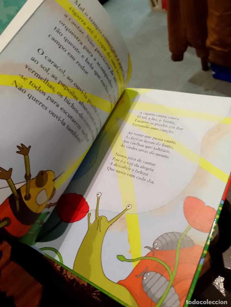 Libros de segunda mano: A Cigarra e a Formiga - Lu&iacute;sa Ducla Soares - Foto 6