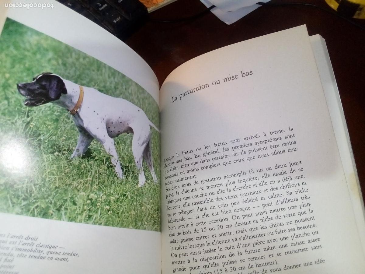Libros de segunda mano: LE POINTER- Eugene Craveri- editions de Vecchi-1974 - Foto 6