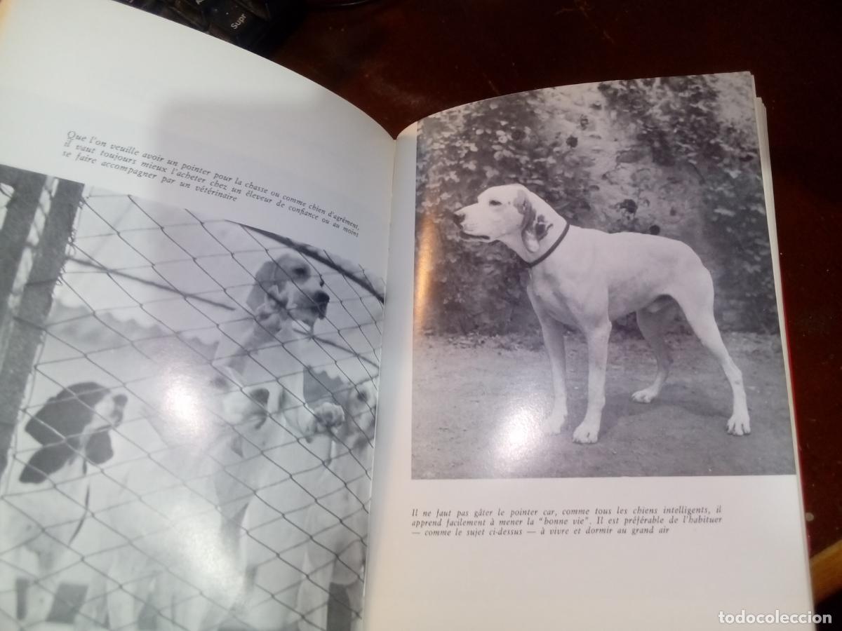 Libros de segunda mano: LE POINTER- Eugene Craveri- editions de Vecchi-1974 - Foto 7