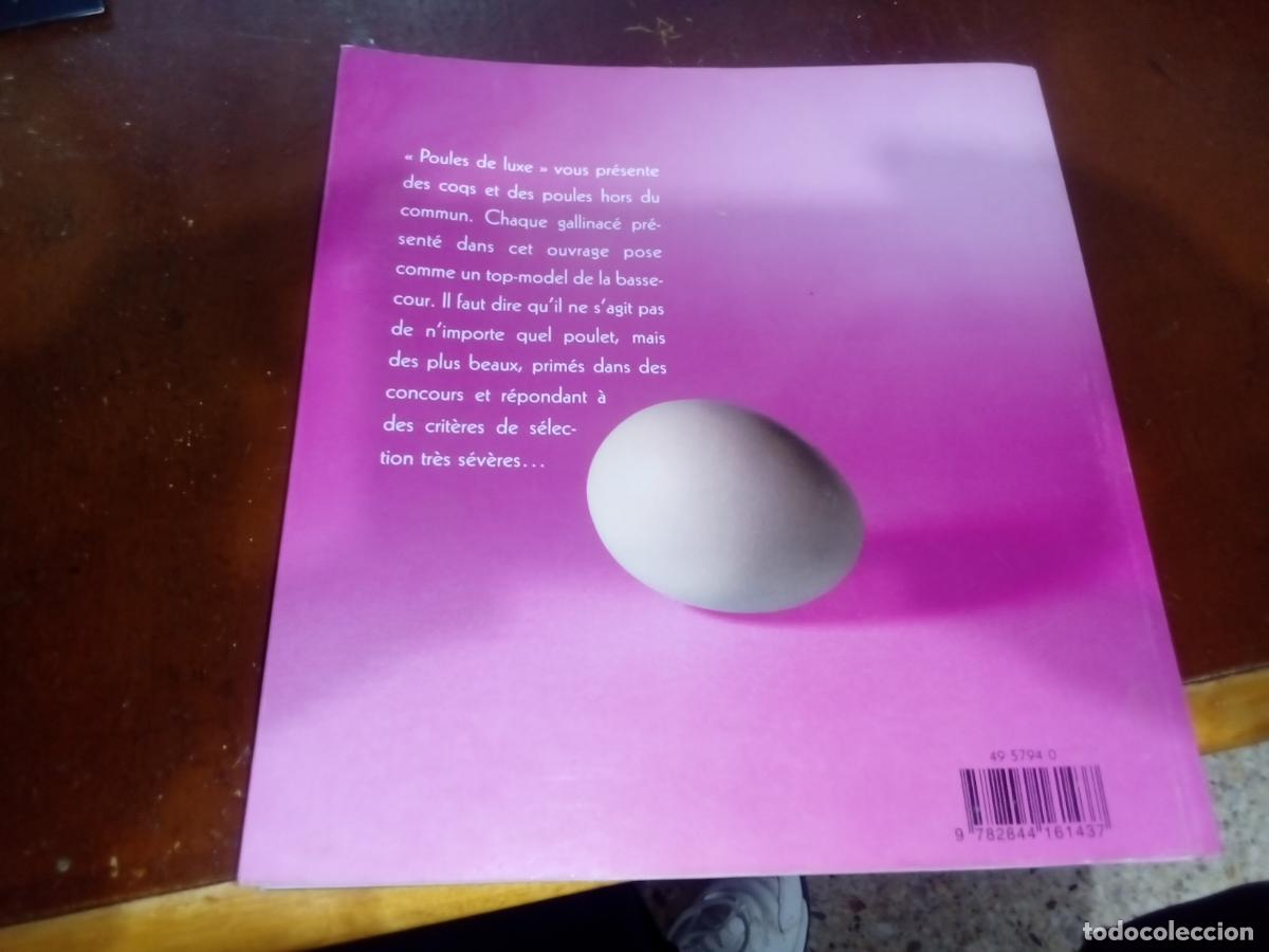 Libros de segunda mano: Poules de Luxe- Artemis editions-2005 - Foto 9