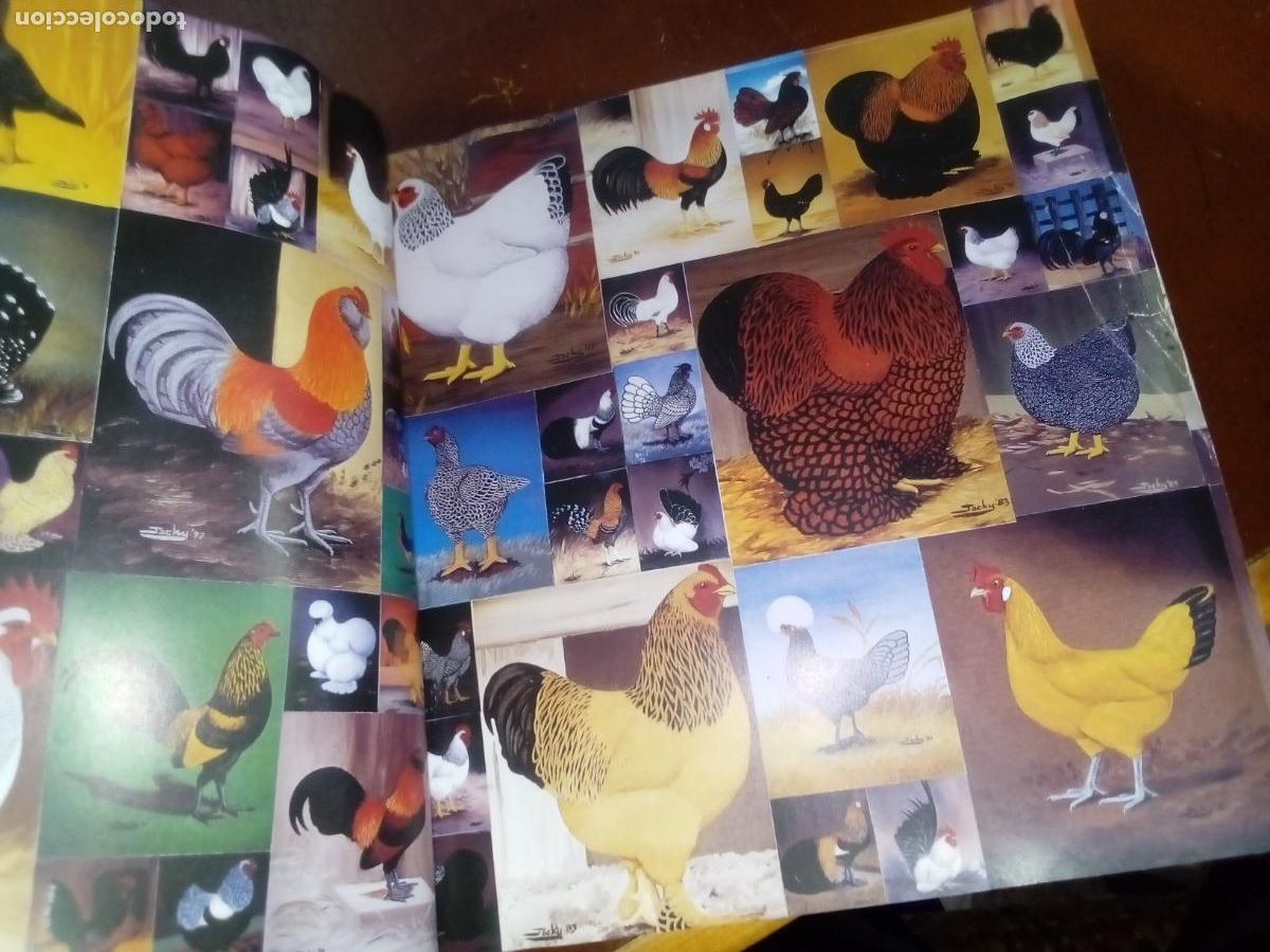 Libros de segunda mano: Poules de Luxe- Artemis editions-2005 - Foto 2