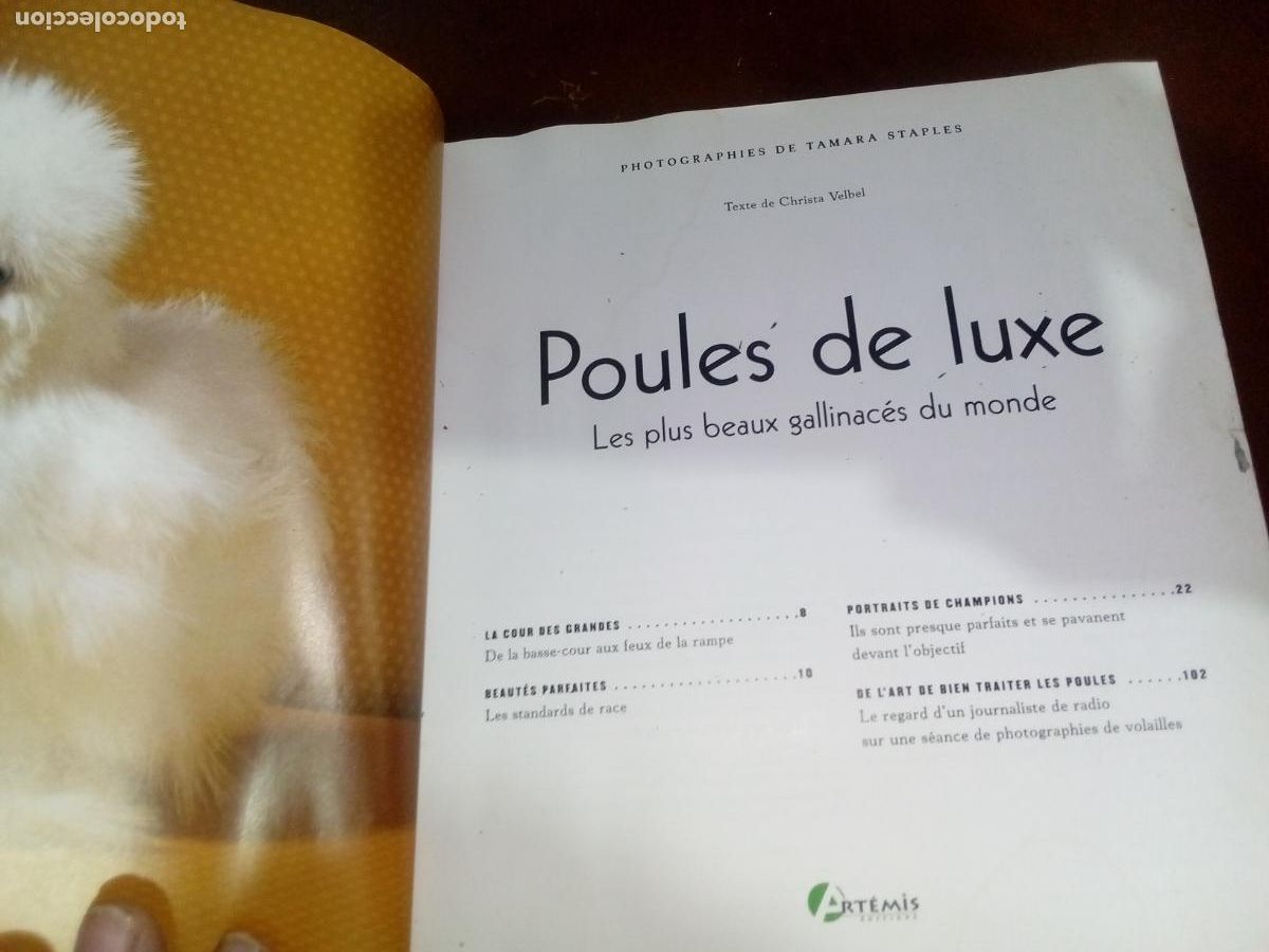 Libros de segunda mano: Poules de Luxe- Artemis editions-2005 - Foto 3