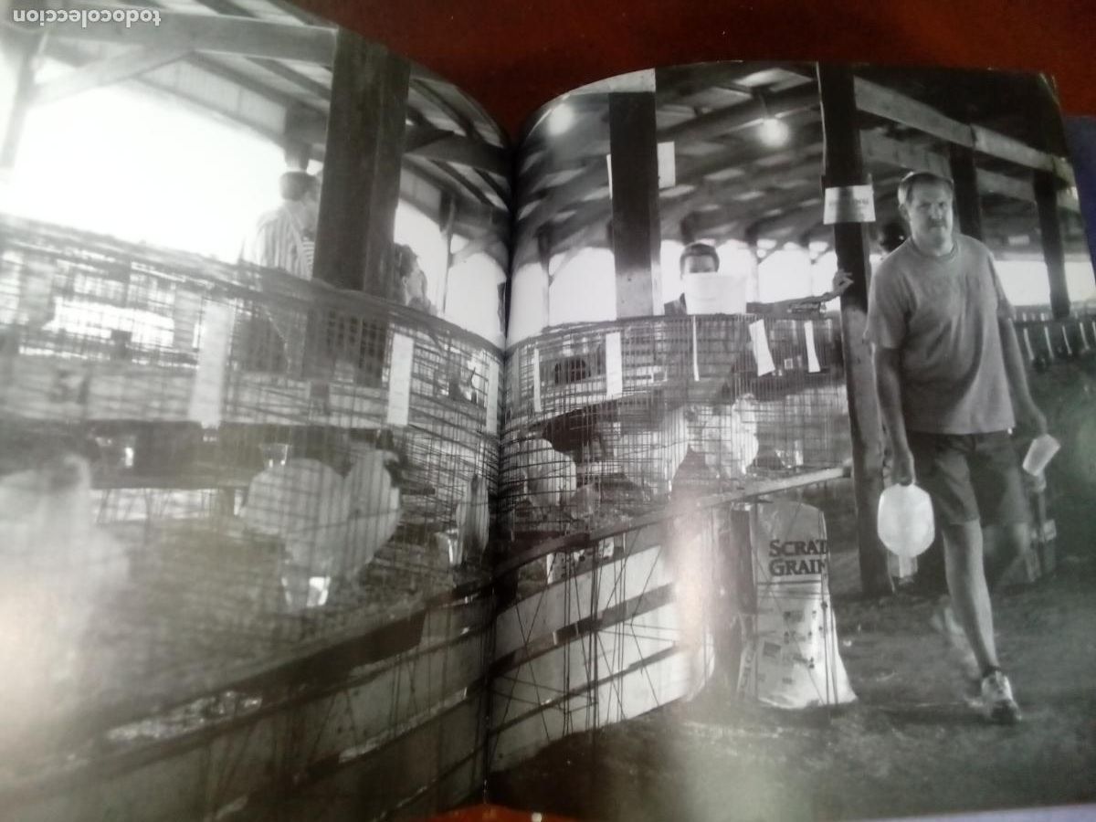 Libros de segunda mano: Poules de Luxe- Artemis editions-2005 - Foto 6