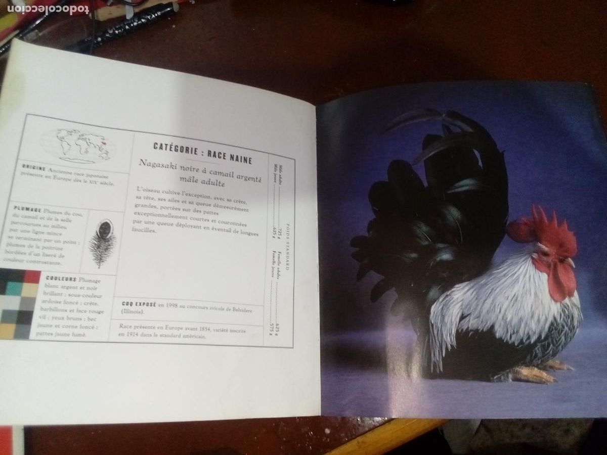 Libros de segunda mano: Poules de Luxe- Artemis editions-2005 - Foto 7