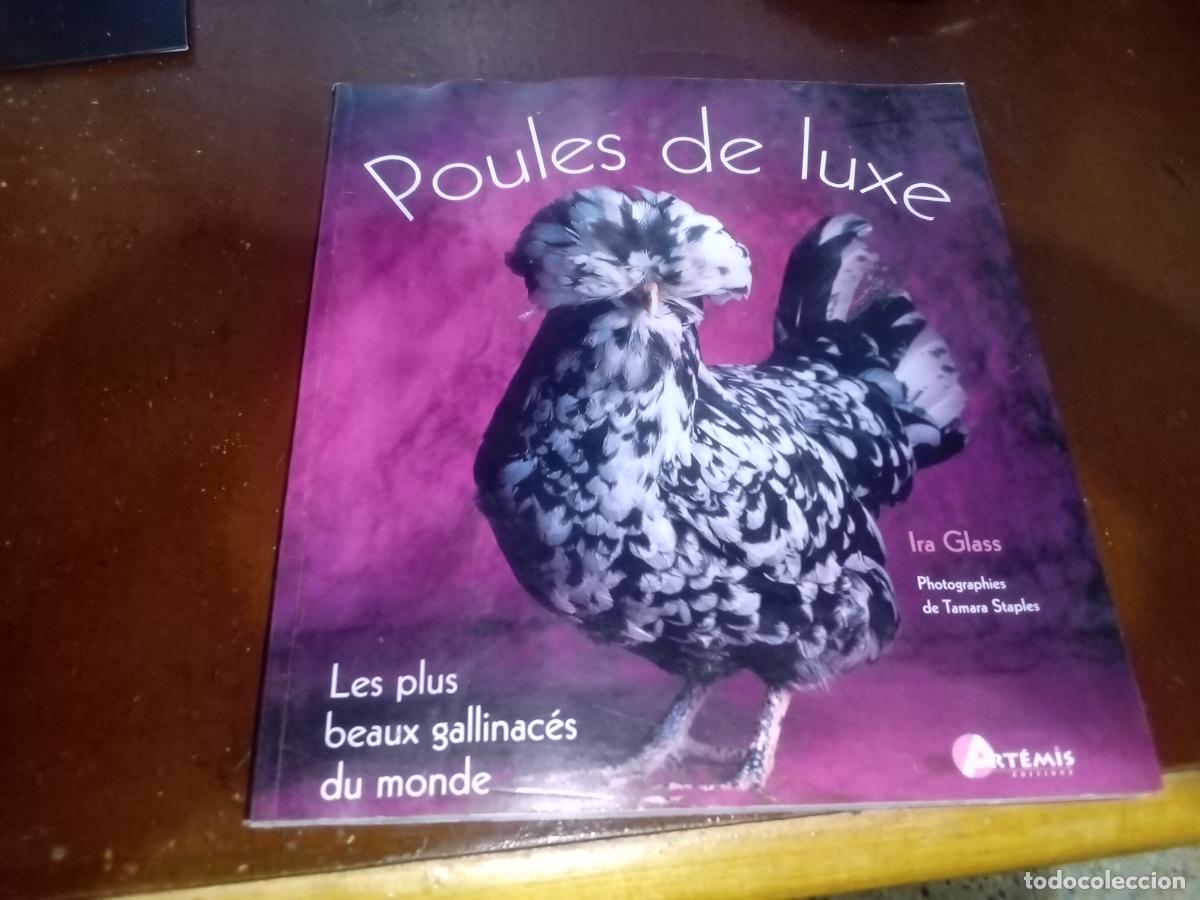 Libros de segunda mano: Poules de Luxe- Artemis editions-2005 - Foto 1