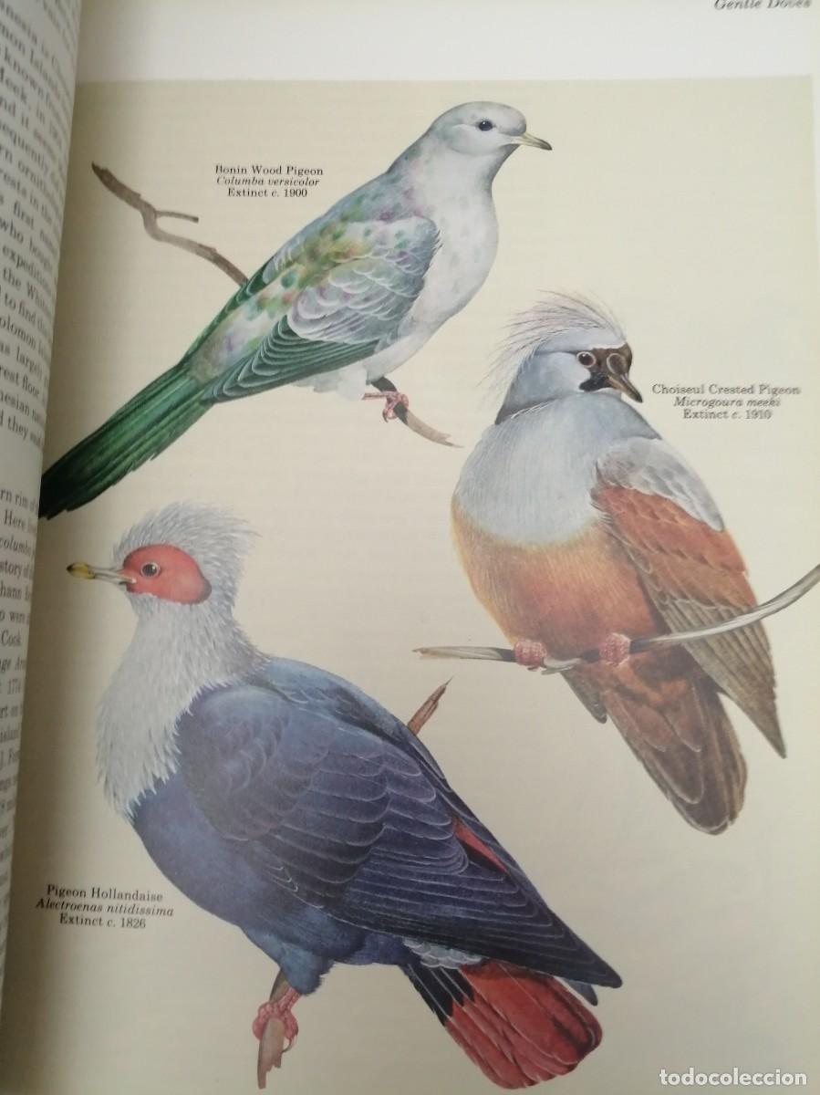 Libros de segunda mano: Vanished Species (Hardcover) - Foto 3