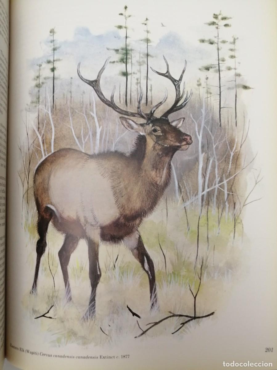 Libros de segunda mano: Vanished Species (Hardcover) - Foto 4