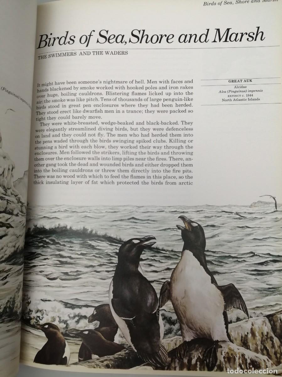 Libros de segunda mano: Vanished Species (Hardcover) - Foto 5