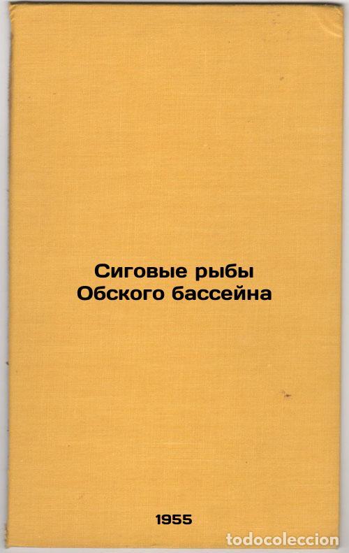 Second hand books: Sigovye ryby Obskogo basseyna. In Russian /Siberian fish of the Ob basin - Moskalenko, Boris Konstan