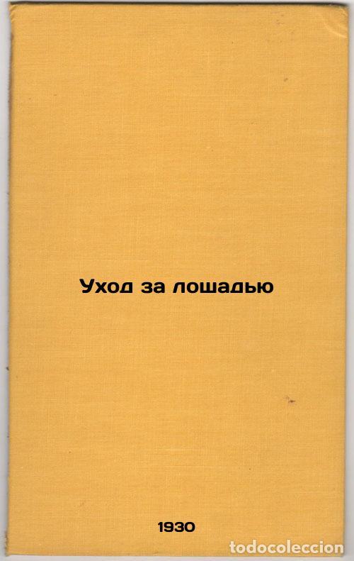 Libri di seconda mano: Ukhod za loshad'yu. In Russian /Horse care - Orlov, Alexey Arsenievich