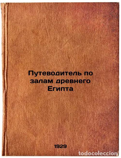 Libri di seconda mano: Putevoditel' po zalam drevnego Egipta. In Russian /Guide to the Halls of Ancien - Flittner, Natalia