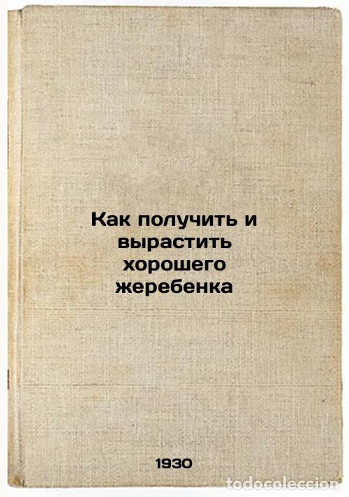 Libri di seconda mano: Kak poluchit' i vyrastit' khoroshego zherebenka. In Russian /How to Get and Rai - Tovarkov, Boris Vl